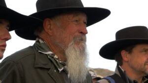 Riders take part in Saturday's annual bison roundup at Antelope Island State Park, helping move the animals into corrals. | Courtesy Alex Cabrero / KSL.com