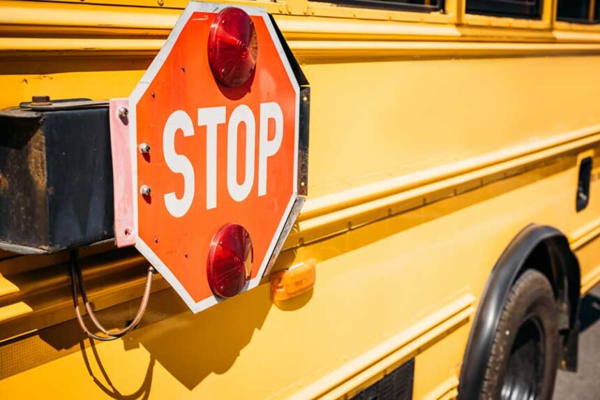 Stock image of a school bus | Envato