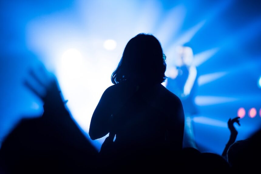 silhouette of crowd at vibrant music event