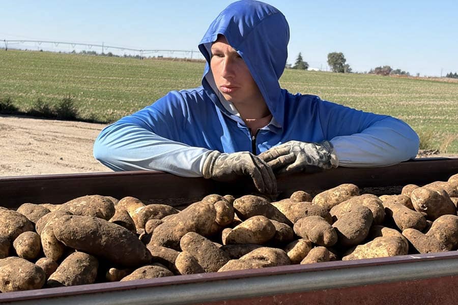 student scans spuds