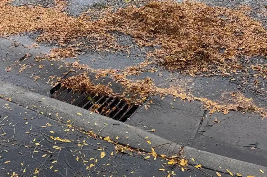 storm drain