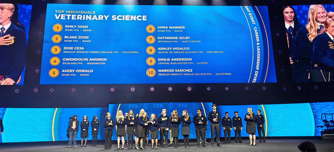 Announcement showing individual awards from members of the Veterinary Science team. | Courtesy Lex Godfrey
