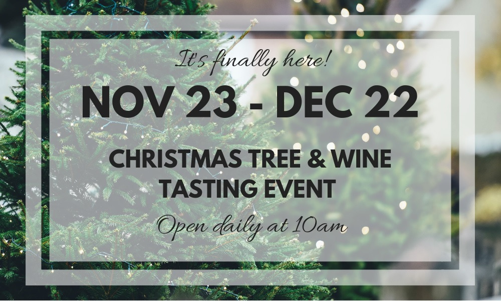 Christmas Cheer at Vineyard 1924 for All Ages