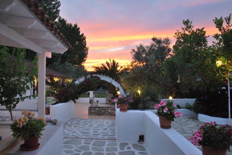 Best Places to Eat on Skiathos Island