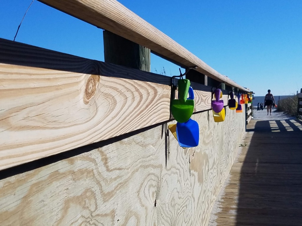 Top 10 Things to do with Kids in Folly Beach