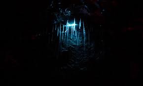 Hokitika Glow Worm Dell