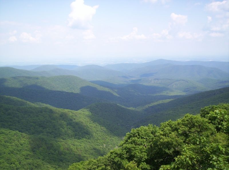 Hiking Trails