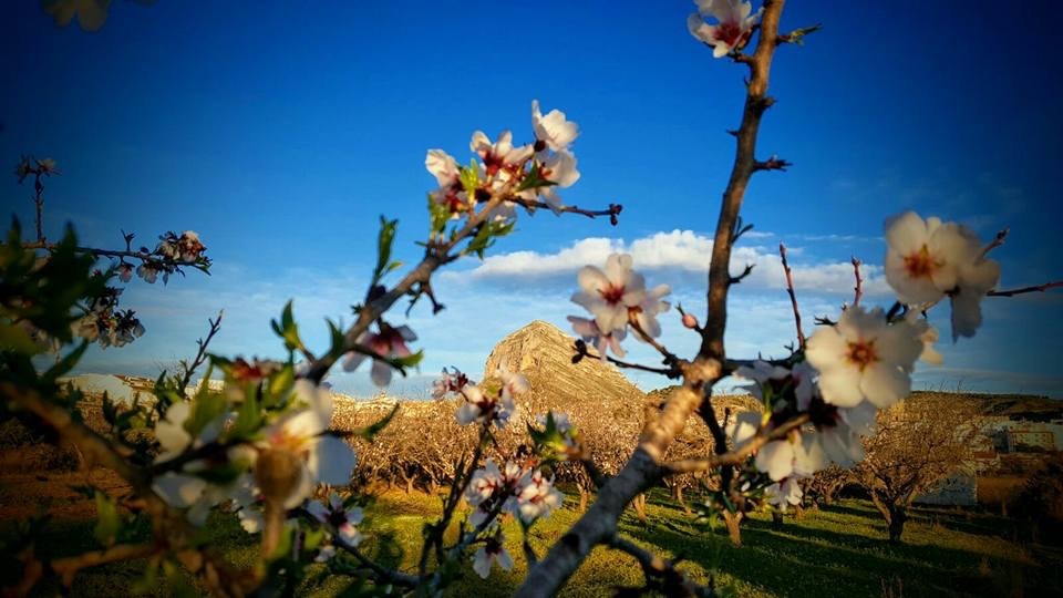 The beautiful environment of Moraira