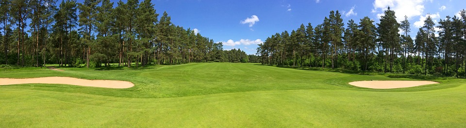 Play Golf