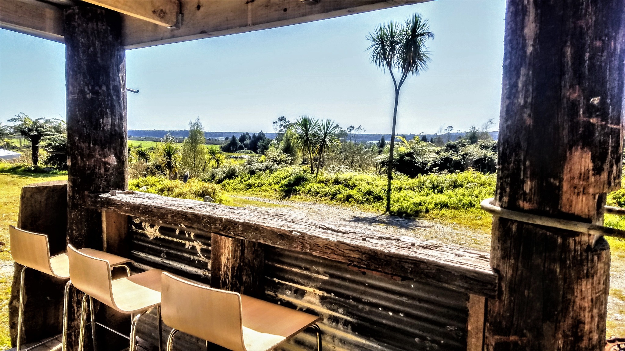 Where To Stay On The West Coast In A Camper Van