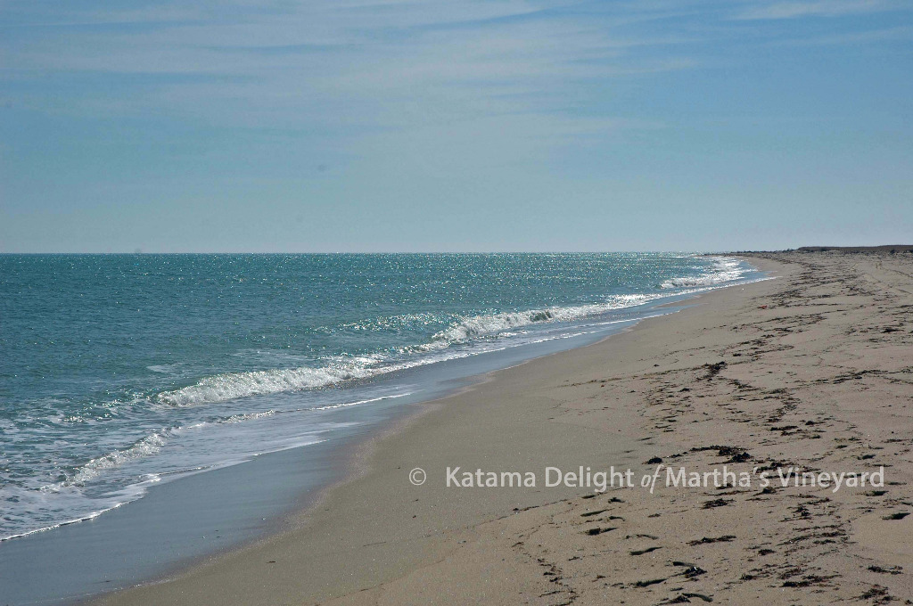 Our favorite walks on Martha's Vineyard
