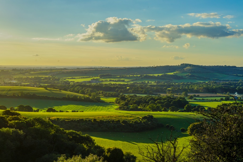 A Round Up of Some of My Favourite Walks in the South of the UK