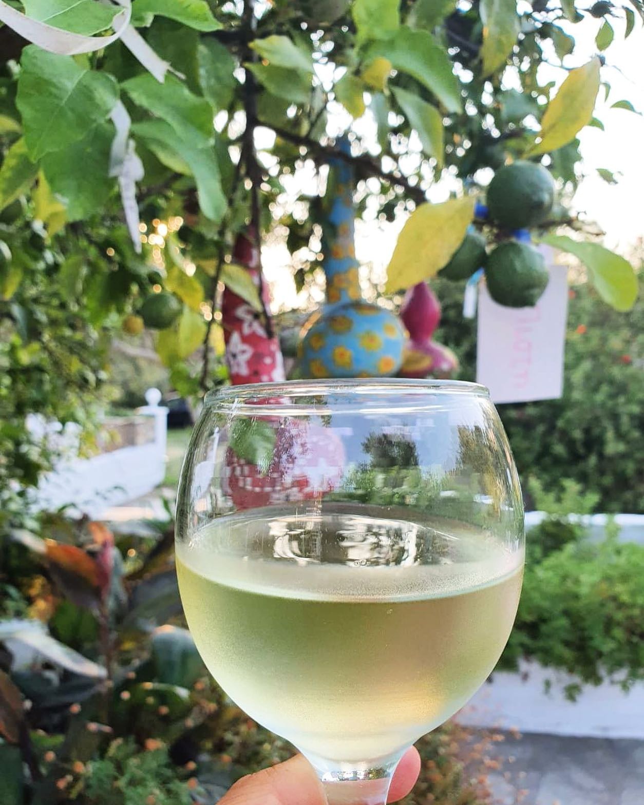 Best Places to Eat on Skiathos Island