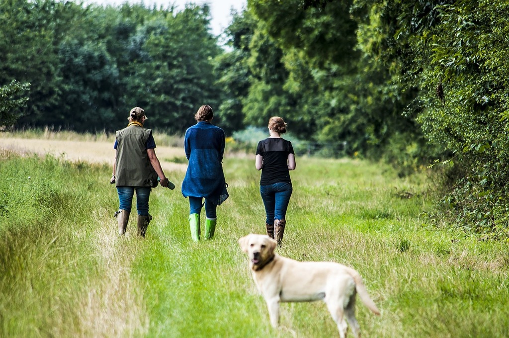 A Round Up of Some of My Favourite Walks in the South of the UK