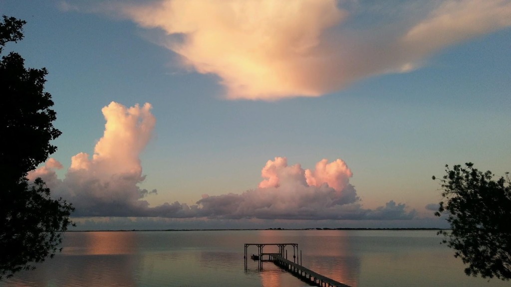 Our Property Story: The Seahorse Retreat & Palm Breeze Beach House