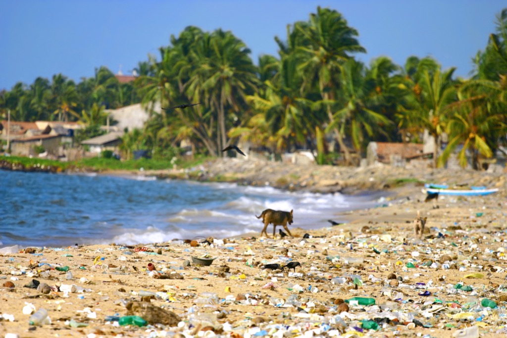 Hi again, Bob here, I just went to the beach! I am upset!
