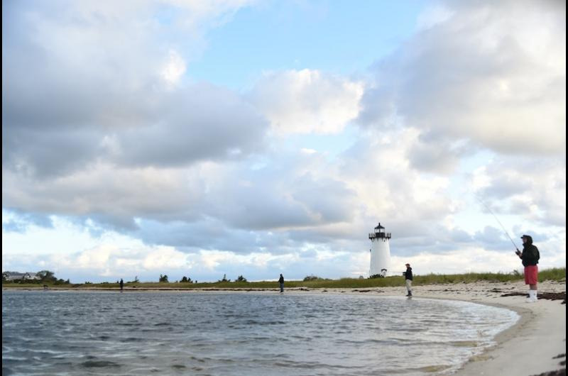 Martha's Vineyard Striped Bass & Bluefish Derby