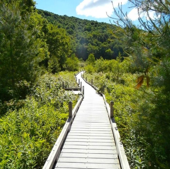 Vermont Hikes & Parks