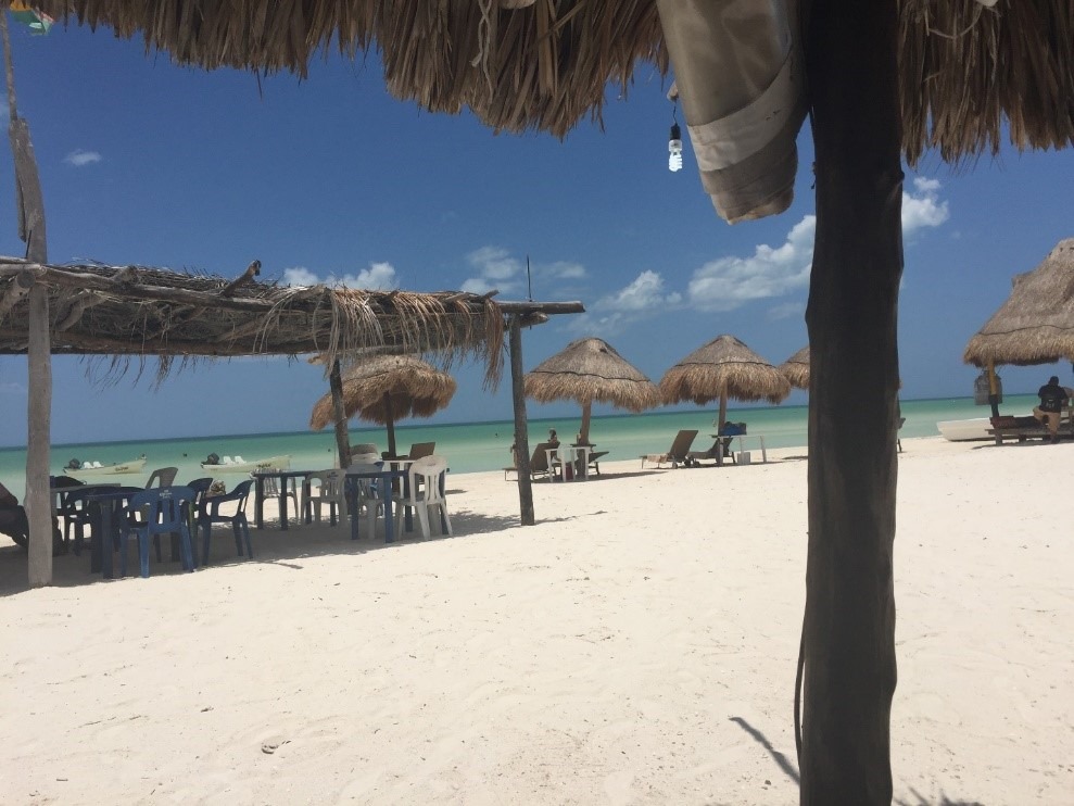 The 10 Best things to do in Playa del Carmen, MX