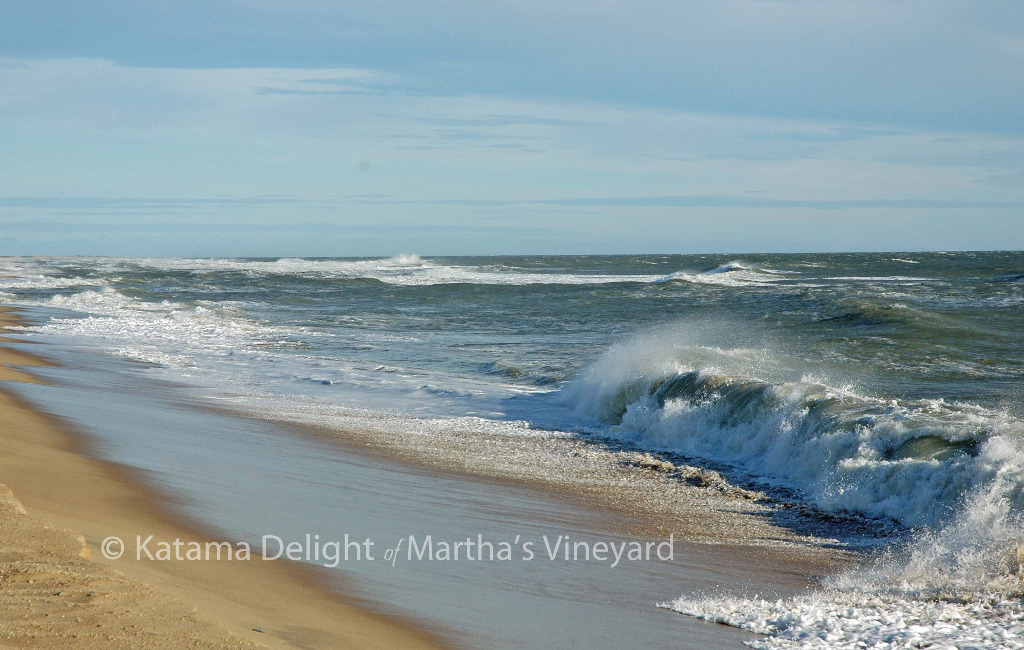 Our favorite walks on Martha's Vineyard