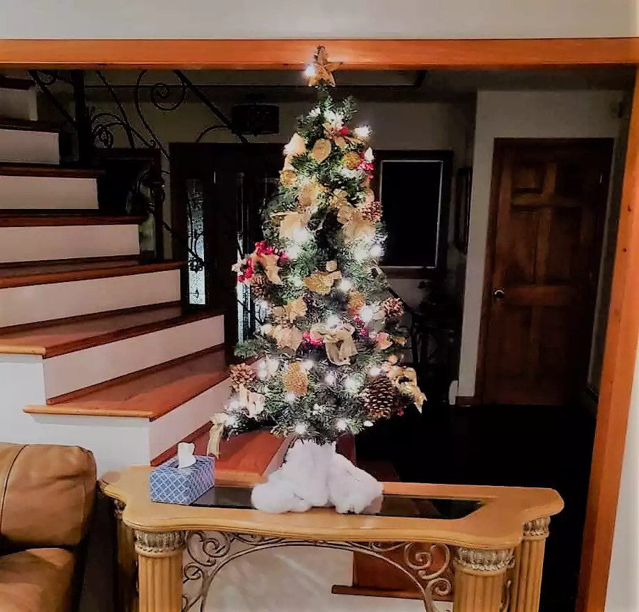 Christmas 2020 Christmas 2020 - Leaping Fawn Lodge - Waynesville