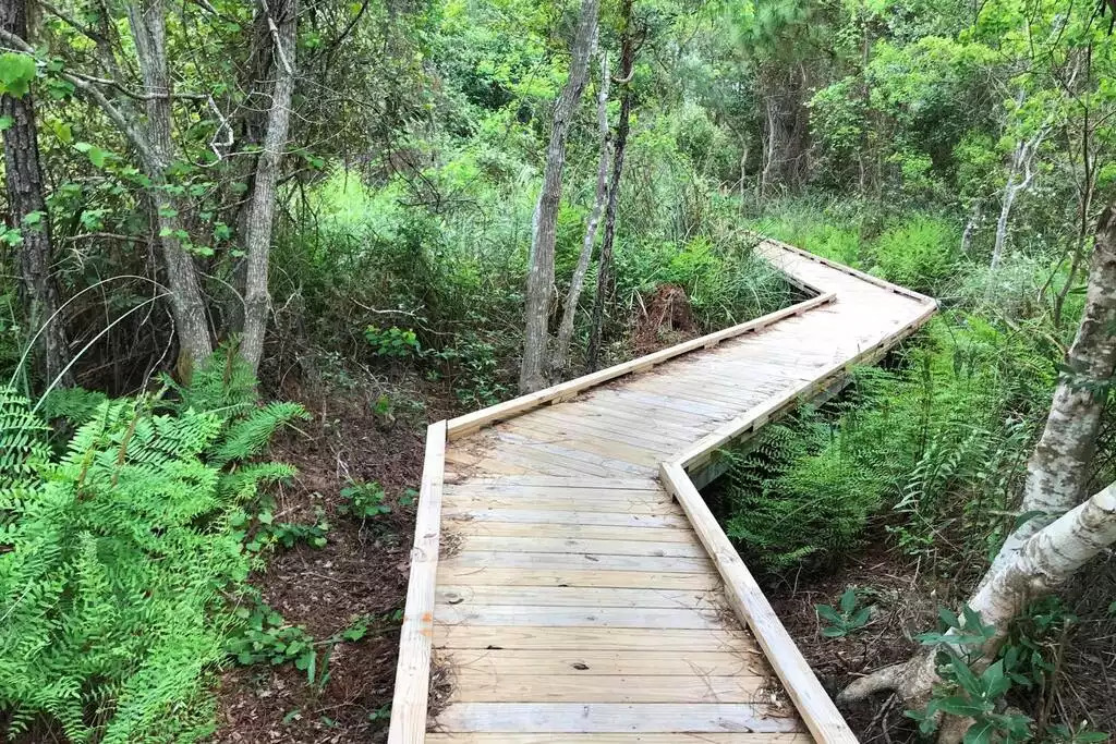 There are many boardwalks along the 25+ miles of trails located in the Gulf State Park. These are ideal for walking/running/biking! They are very well maintained & surrounded by scenic nature views! There are many boardwalks along the 25+ miles of trails located in the Gulf State Park. These are ideal for walking/running/biking! They are very well maintained & surrounded by scenic nature views! - Shipwrecked Beach House Orange Beach, Alabama - Orange Beach
