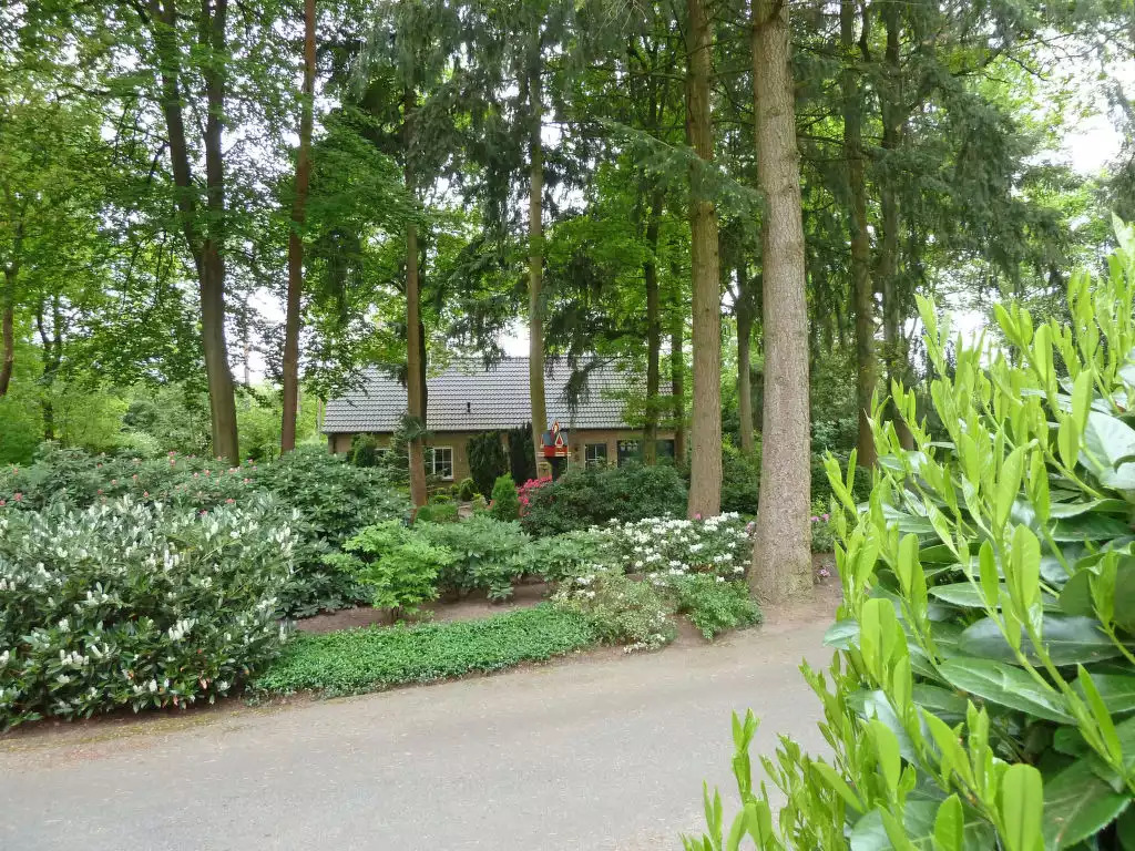 Bosrijk Ruighenrode - Lochem Bosrijk Ruighenrode - Lochem