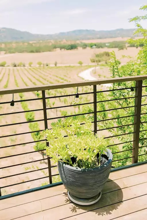 Views for miles, looking towards the sunset, seeing nothing but beauty. Views for miles, looking towards the sunset, seeing nothing but beauty. - Be Suite - Vineyard Retreat - Paso Robles