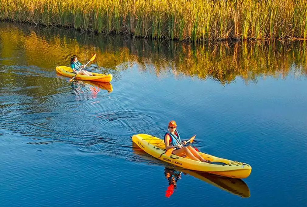 A relaxing way to take in the afternoon & enjoy an up close view of the beautiful Gulf State Park is to rent kayaks! Life jackets are also provided. A relaxing way to take in the afternoon & enjoy an up close view of the beautiful Gulf State Park is to rent kayaks! Life jackets are also provided. - Shipwrecked Beach House Orange Beach, Alabama - Orange Beach