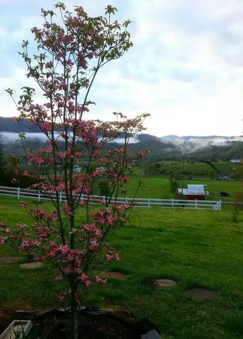 Stunning Smoky Mts Views
Across from Park entrance - Pigeon Forge Stunning Smoky Mts Views
Across from Park entrance - Pigeon Forge