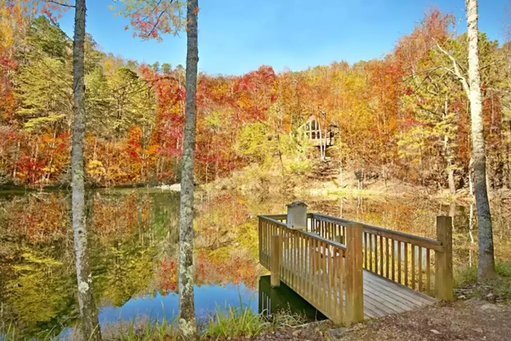 Catch & Release Stocked Fishing Pond just a short walk from the cabin Catch & Release Stocked Fishing Pond just a short walk from the cabin - Secluded Luxury 2 Bdrm Cabin w/Theatre Room & Pond - Sevierville