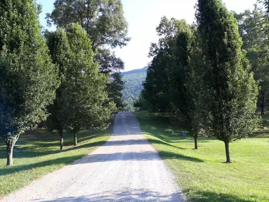Fox View Cottage is located on a private packed-gravel road with seven other homes. All parcels are at least six acres so you have plenty of space and privacy. Our home is just beyond the rise in the road. Lookout Mountain is in the background. Fox View Cottage is located on a private packed-gravel road with seven other homes. All parcels are at least six acres so you have plenty of space and privacy. Our home is just beyond the rise in the road. Lookout Mountain is in the background. - Fox View Cottage - Rising Fawn