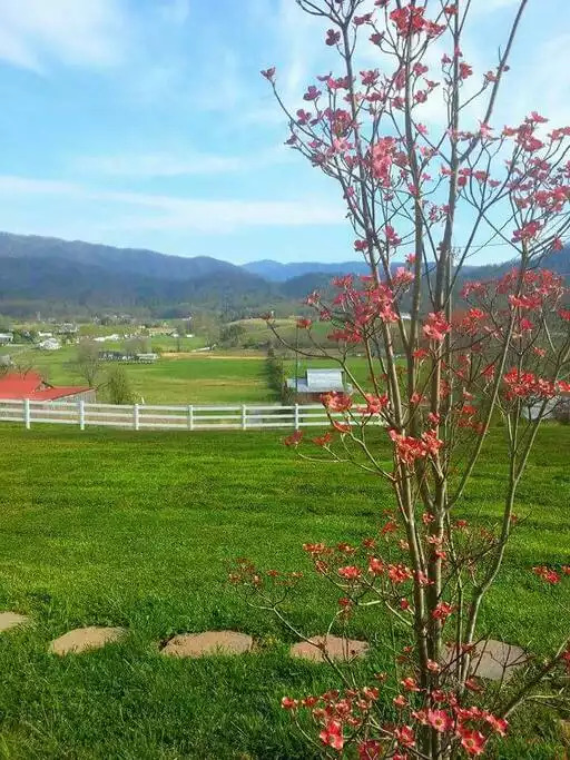 View from front of property View from front of property - Astonishing Smoky Mts views
Across park entrance! - Pigeon Forge