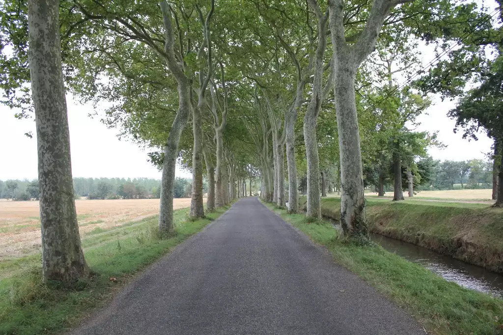 Typical road in the southern French countryside Typical road in the southern French countryside - Maison de Farine - Le Cave - Roquebrun