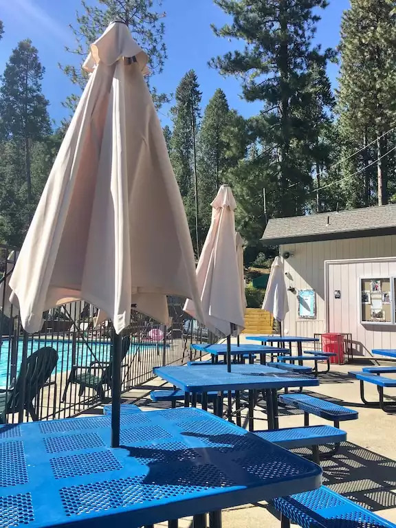 Dancing Bear Cabin in Arnold: 408-828-5019 - Arnold Dancing Bear Cabin in Arnold: 408-828-5019 - Arnold