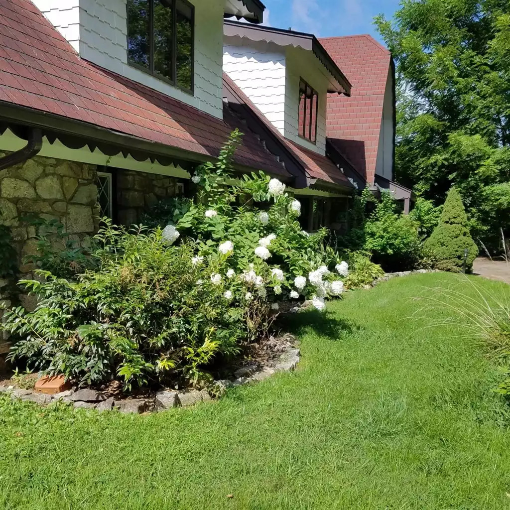 Flowers surround the home in spring & summer Flowers surround the home in spring & summer - Leaping Fawn Lodge - Waynesville