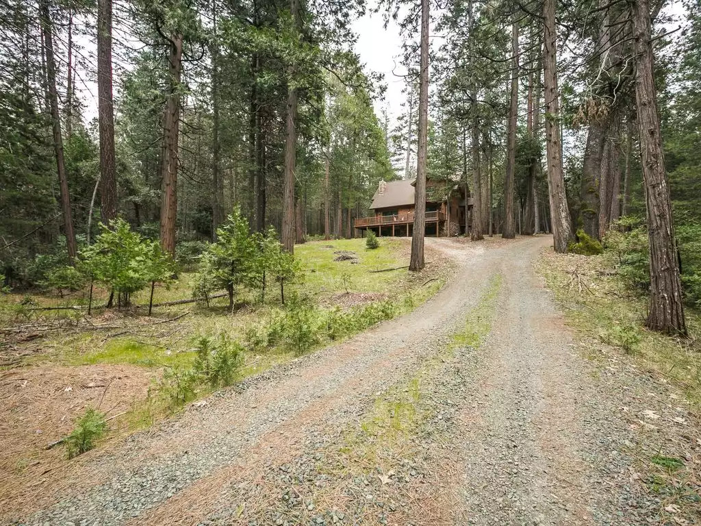 Peaceful seclusion on a private, five-acre forested site Peaceful seclusion on a private, five-acre forested site - Gold Creek Cabin - Volcano