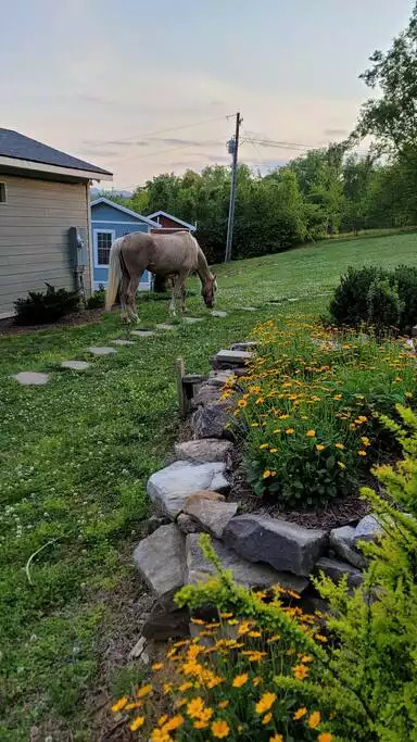 Cottage with MIND BLOWING Smoky Mountain views! - Pigeon Forge Cottage with MIND BLOWING Smoky Mountain views! - Pigeon Forge