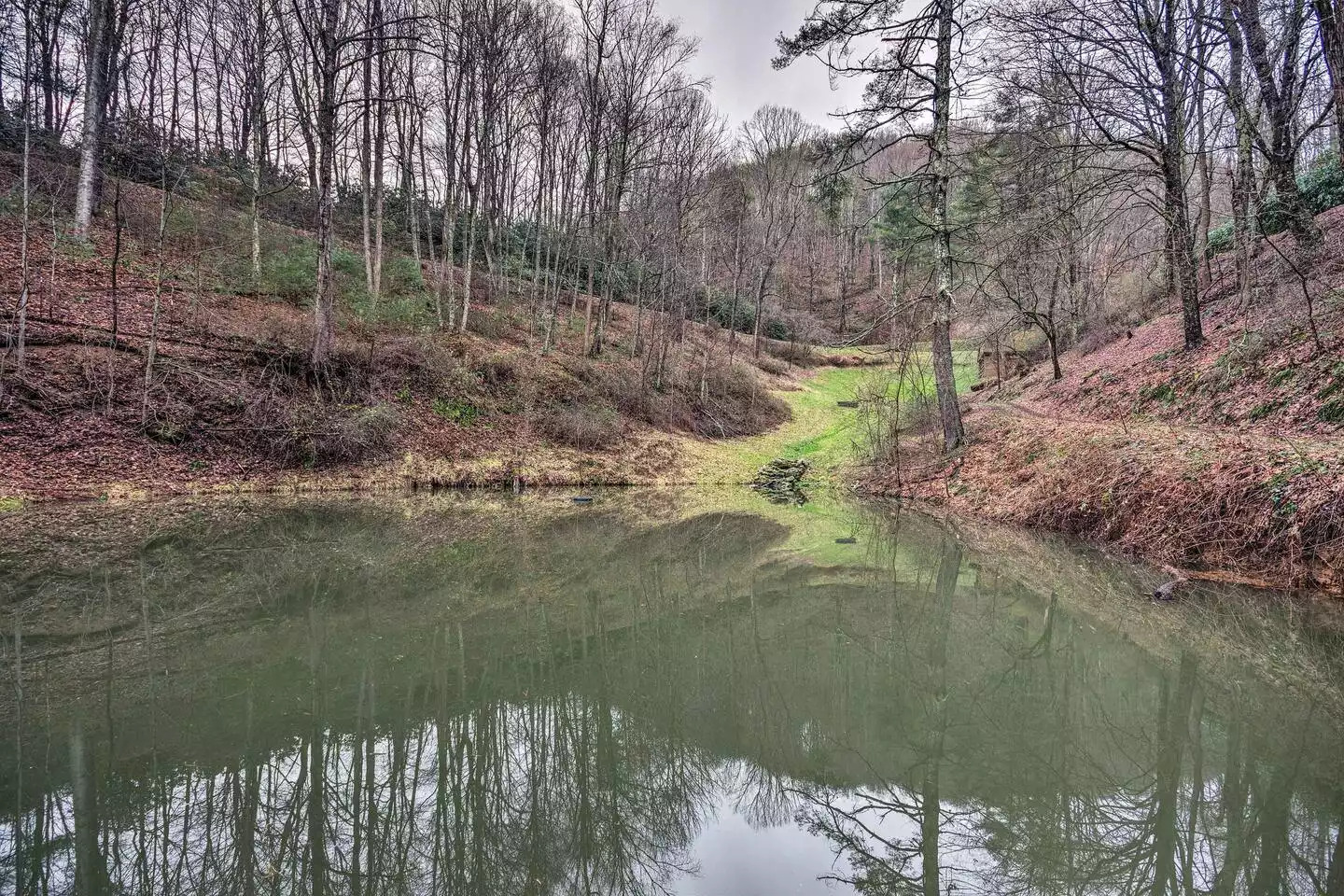 This idyllic pond offers peaceful wildlife watching. This idyllic pond offers peaceful wildlife watching. - Leaping Fawn Lodge - Waynesville