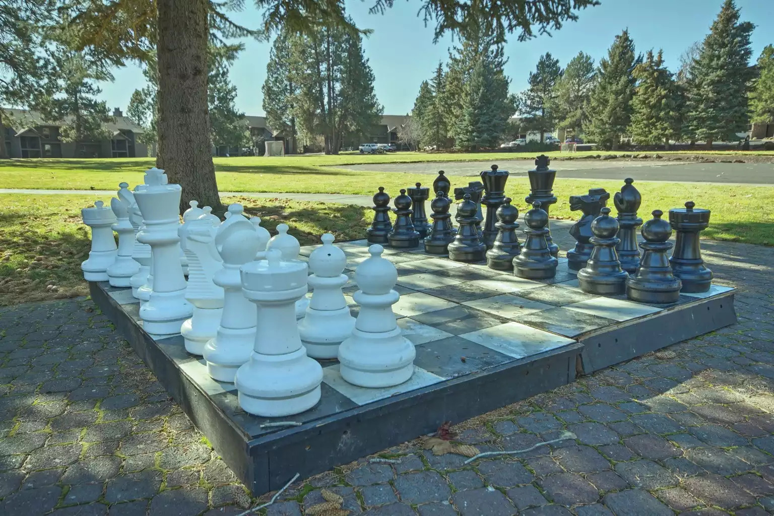 Outdoor Activities Outdoor Activities - Seventh Mountain Resort Studio - Bend