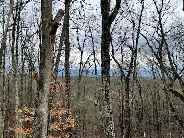 Paradise at the Smokies Cabin - Sevierville Paradise at the Smokies Cabin - Sevierville