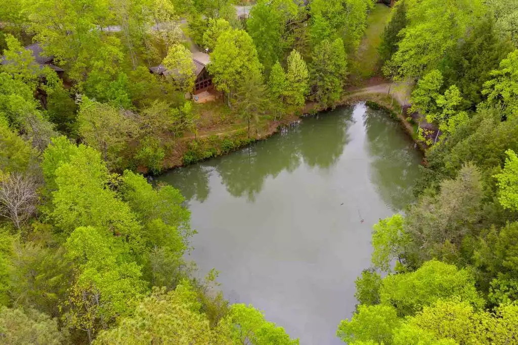 Overhead photo of association pond, which is just down the road from our cabin. Overhead photo of association pond, which is just down the road from our cabin. - Secluded Luxury 2 Bdrm Cabin w/Theatre Room & Pond - Sevierville