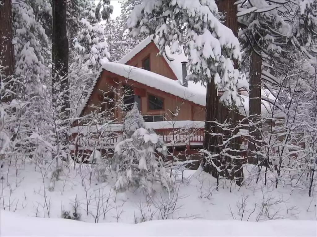 Dancing Bear Cabin in Arnold: 408-828-5019 - Arnold Dancing Bear Cabin in Arnold: 408-828-5019 - Arnold