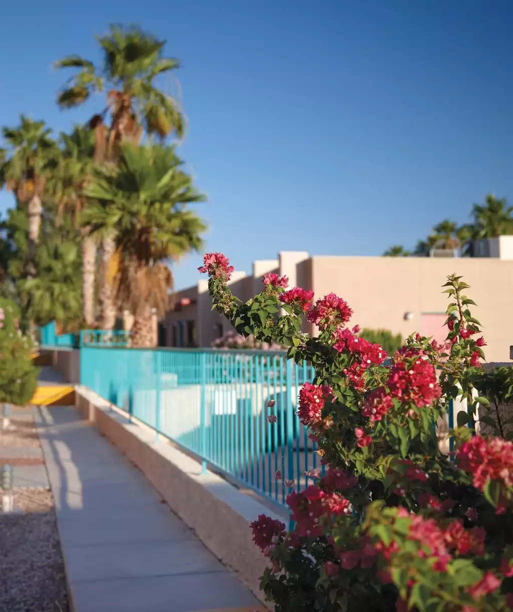 Exterior View Exterior View - Havasu Dunes Resort 1bdr - Lake Havasu City