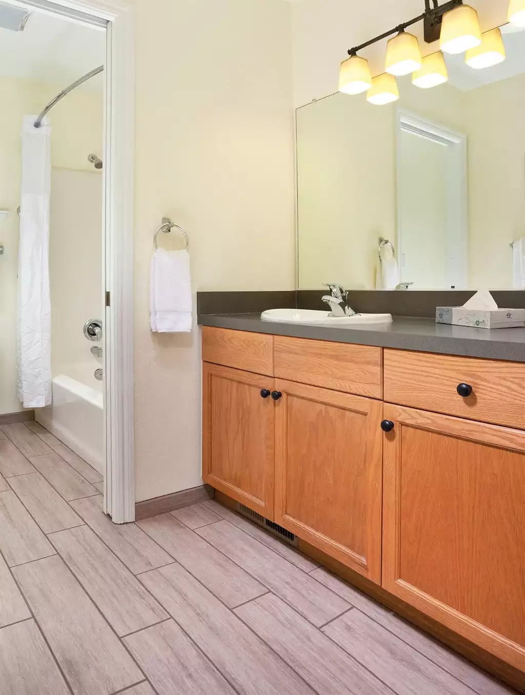 Bathroom Bathroom - Angels Camp Resort 3bdr - Angels Camp
