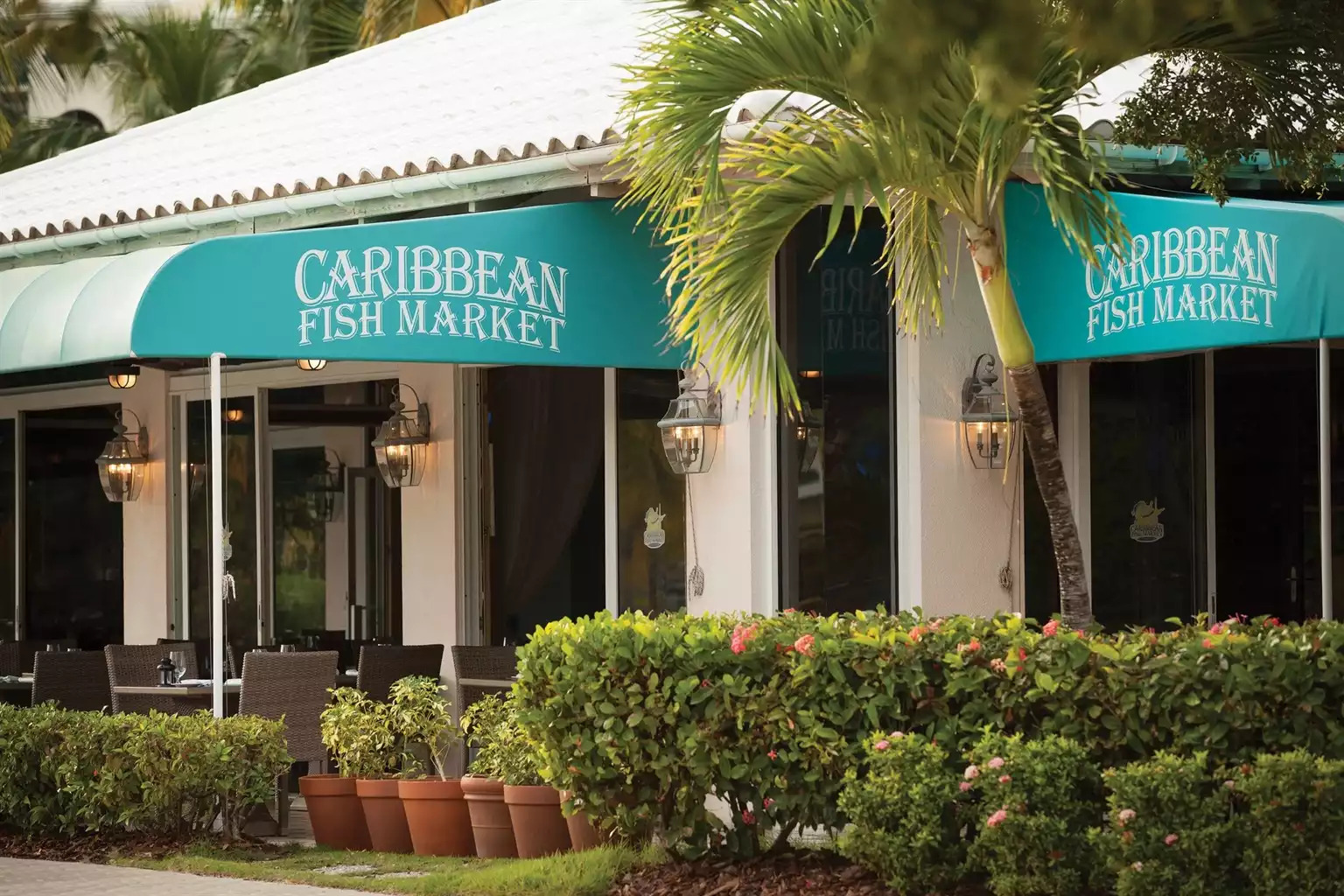 Caribbean Fish Market Caribbean Fish Market - Elysian Beach Resort Studio Double #A - St. Thomas