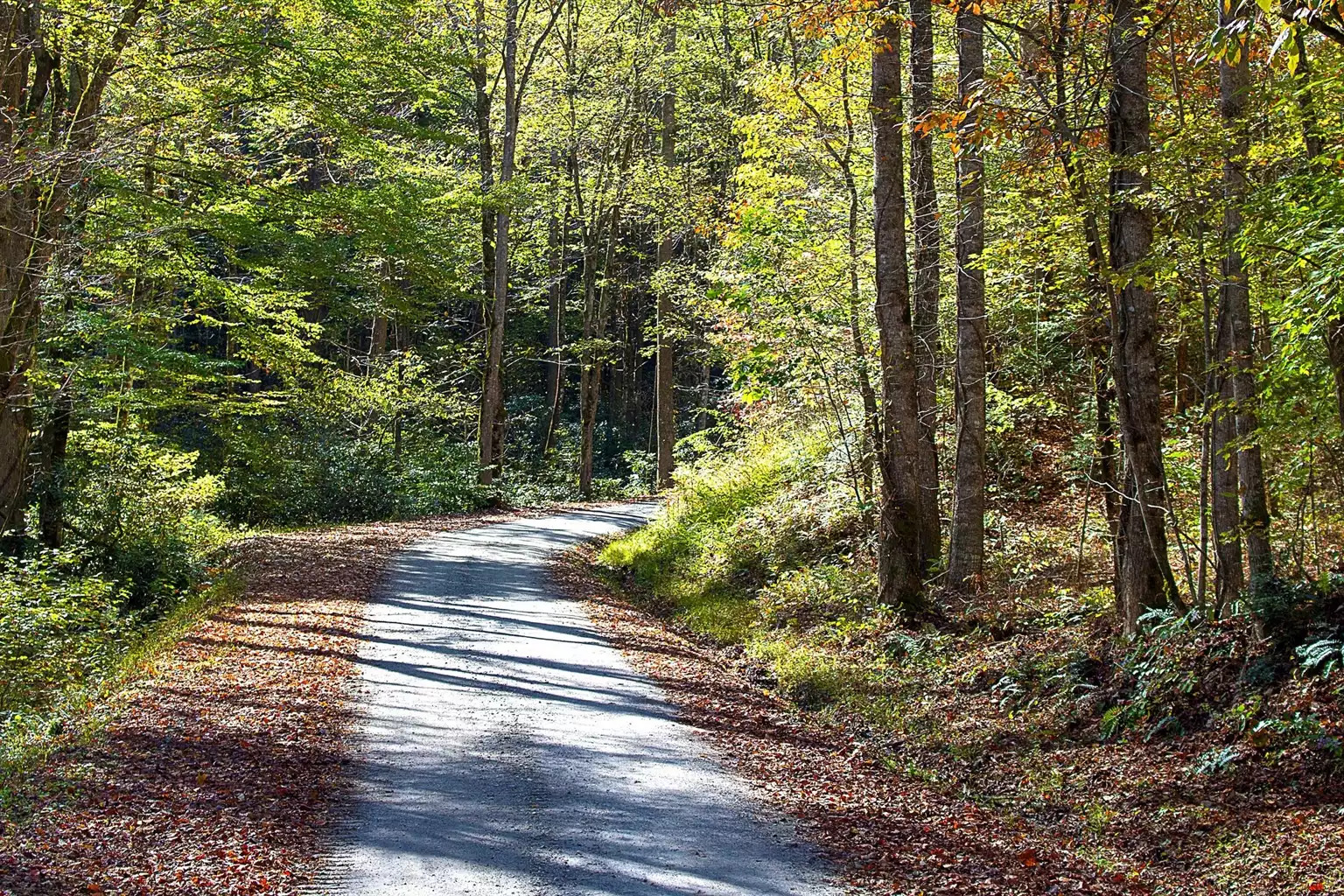 The long, wide, winding road to the lodge will set you back in time and prepare you for a slower pace of life! The long, wide, winding road to the lodge will set you back in time and prepare you for a slower pace of life! - The Hive Lodge - Whittier