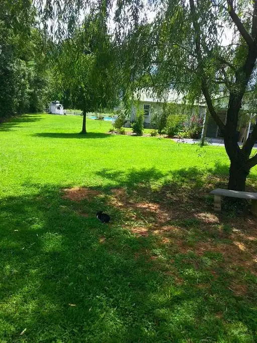 Cottage with MIND BLOWING Smoky Mountain views! - Pigeon Forge Cottage with MIND BLOWING Smoky Mountain views! - Pigeon Forge