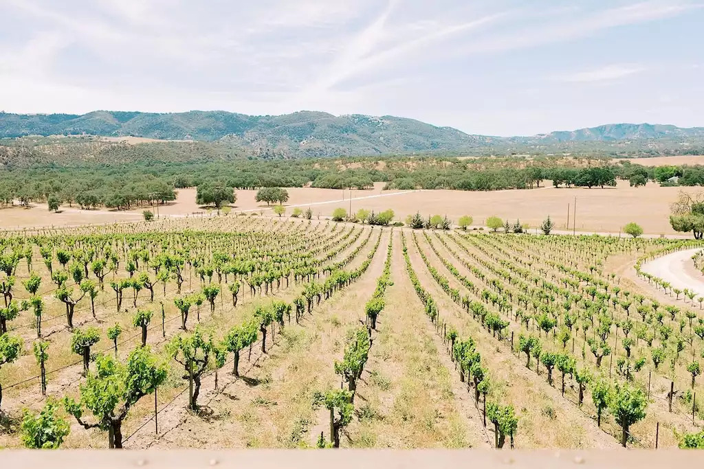Sweeping Vineyard Views Sweeping Vineyard Views - Stay Suite -Vineyard Retreat - Paso Robles
