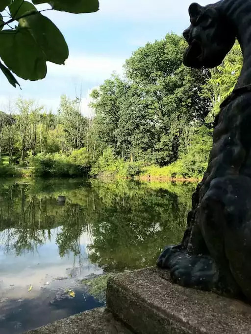 Premier APT wellness nature reserve SwanSanctuary - Birdsboro Premier APT wellness nature reserve SwanSanctuary - Birdsboro
